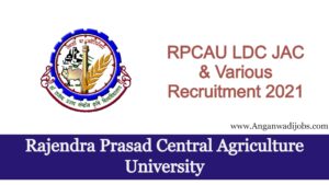 RPCAU LDC JAC & Various Recruitment 2021