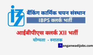 IBPS Clerk XII Bharti
