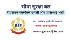 BSF Constable HC ASI Bharti