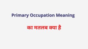 Primary Occupation Meaning 