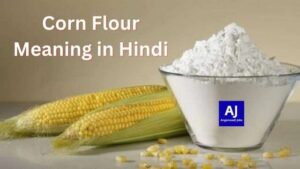 Corn Flour Meaning in Hindi